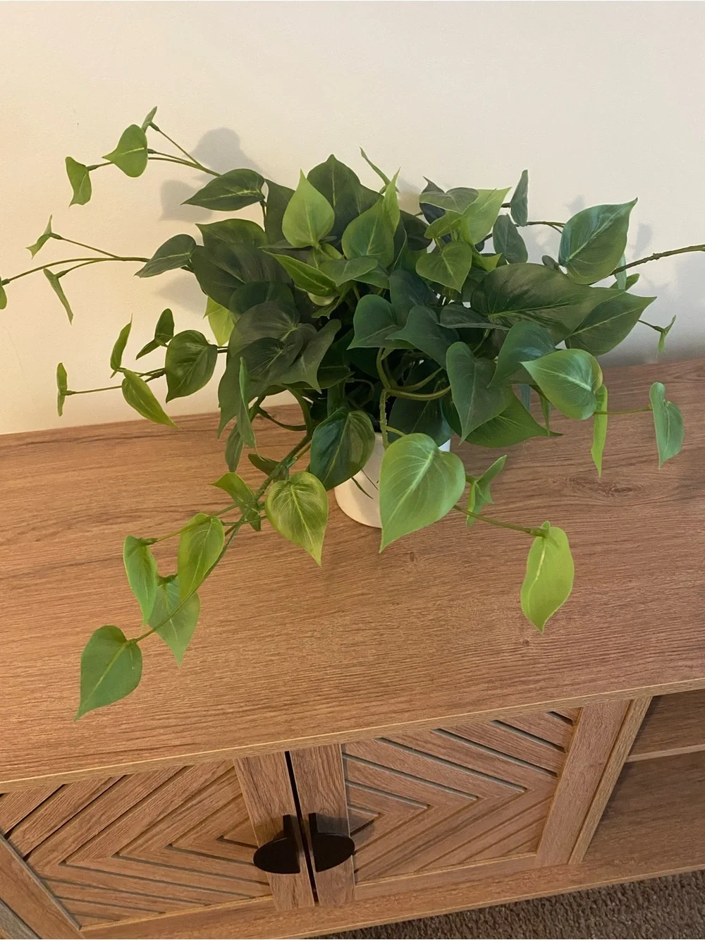 Artificial Pothos Plant